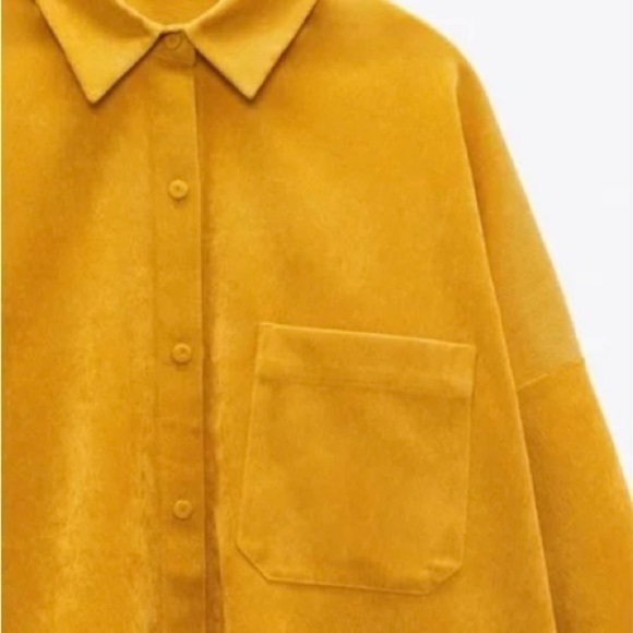 Zara Button Lined-waled Corduroy Shirt - Picture 8 of 12